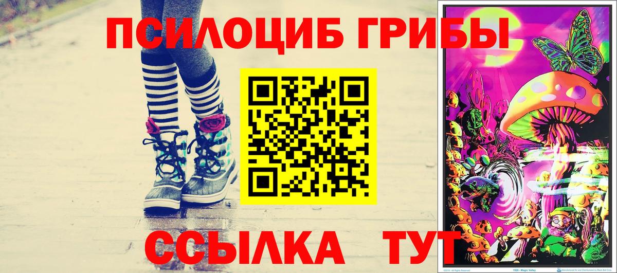 Псилоцибиновые грибы Psilocybine cubensis  наркотики  Астрахань  Вход с VPN 
