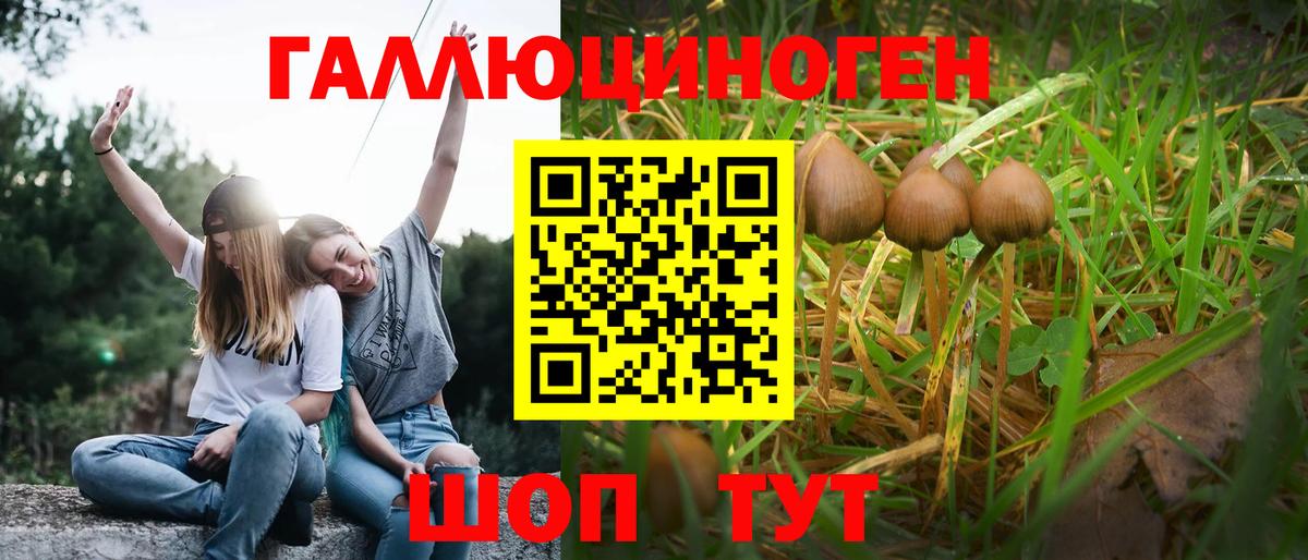 Галлюциногенные грибы Magic Shrooms Астрахань